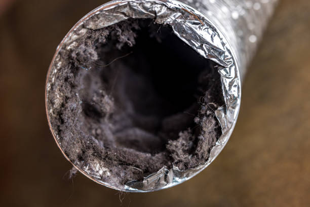 Best Air Duct Cleaning Near Me  in Harbor Bluffs, FL